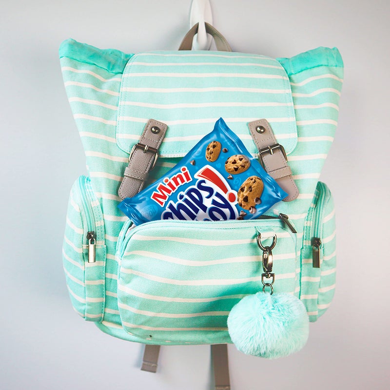 Nabisco Classic Mix Variety Pack, OREO Mini, CHIPS AHOY! Mini, Nutter Butter Bites, RITZ Bits Cheese, Christmas Stocking Stuffers, 20 Snack Packs - Image 5